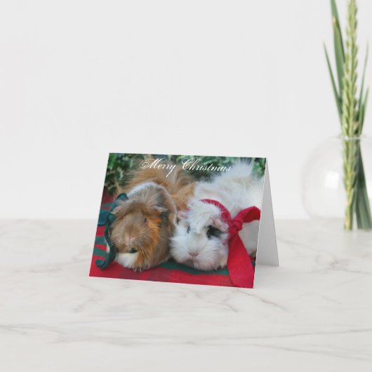 kerstkaart voor cavia's feestdagen kaart (Voorkant)