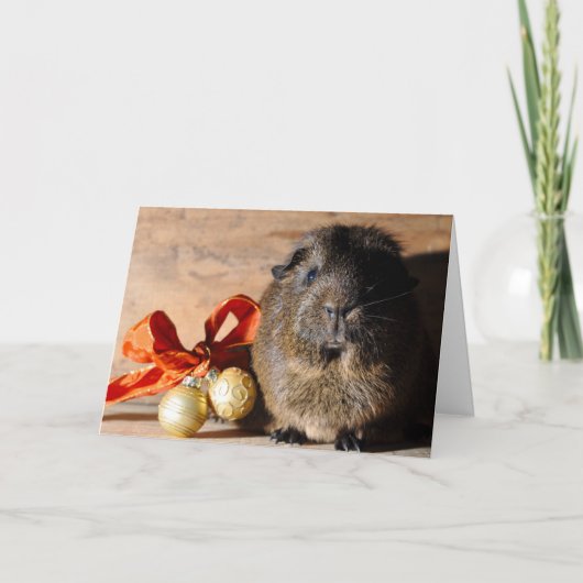 kerstkaart voor cavia's feestdagen kaart (Voorkant)