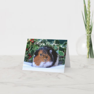 kerstkaart voor cavia's feestdagen kaart