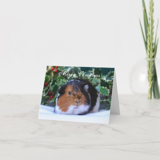kerstkaart voor cavia's feestdagen kaart (Voorkant)