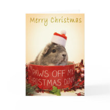 kerstkaart voor cavia's