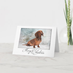 Kerstkaart voor Dachshund Feestdagen Kaart
