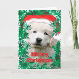 Kerstkaart voor de Grote Pyreneeën Feestdagen Kaart