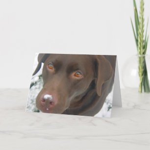 kerstkaart voor feestdagen - Chocolate Labrador Do
