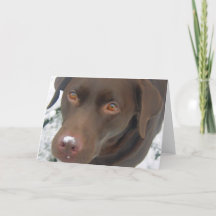 kerstkaart voor feestdagen - Chocolate Labrador Do