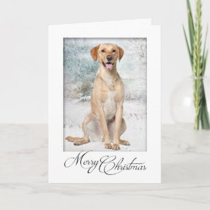 Kerstkaart voor gele labrador feestdagen kaart