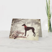 Kerstkaart voor Greyhound Kaart (Voorkant)