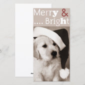 Kerstkaart voor honden (Voorkant / Achterkant)