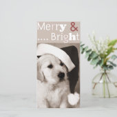 Kerstkaart voor honden (Staand voorkant)