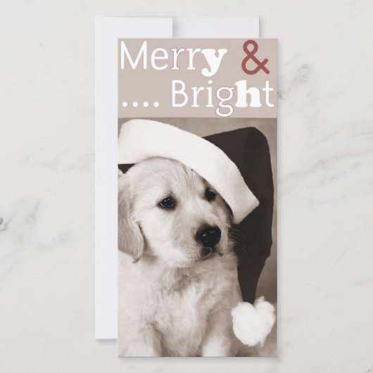 Kerstkaart voor honden (Voorkant)