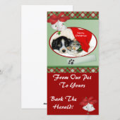 Kerstkaart voor huisdieren (Voorkant / Achterkant)