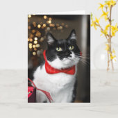 Kerstkaart voor katten - Prettig Kerstmis Kaart (Gele Bloem)