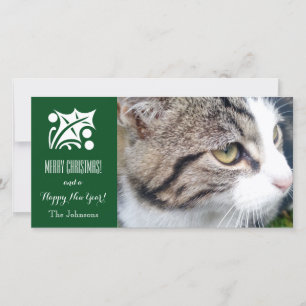 Kerstkaart voor katten Voeg hier uw afbeelding t