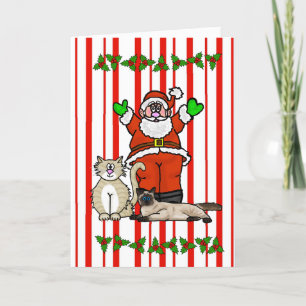 kerstkaart voor kerstmis en katten kaart