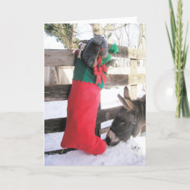 Kerstkaart "Voor Mij?" Feestdagen Kaart