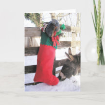 Kerstkaart "Voor mij?"