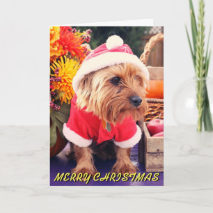 Kerstkaart voor snelle terrier Cute Terrier Feestdagen Kaart
