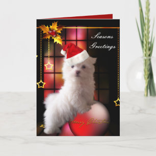 Kerstkaart Witte Maltese Puppy Hond Feestdagen Kaart