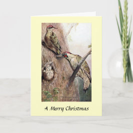 KerstKaart - Woodpeckers Feestdagen Kaart