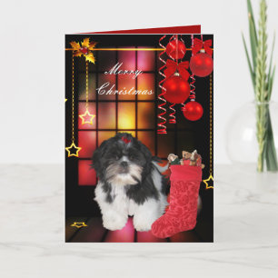 Kerstkaart Xmas Hond Shitzu Puppy Feestdagen Kaart