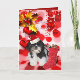 Kerstkaart Xmas Hond Shitzu Puppy Hoed Hartjes Feestdagen Kaart