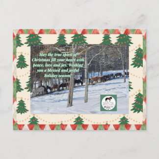 Kerstkaarten Briefkaart