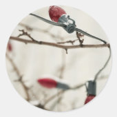 Kerstkaarten en stickers (Voorkant)