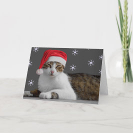 kerstkaarten feestdagen kaart