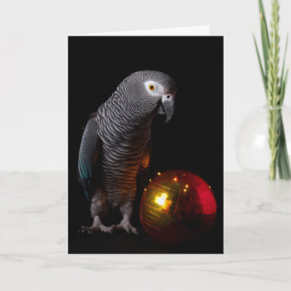 Kerstkaarten met Afrikaanse Grijze Papegaai  Feestdagen Kaart