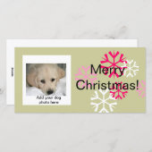 Kerstkaarten met eigen foto van hond Pink Sage Feestdagenkaart (Voorkant / Achterkant)