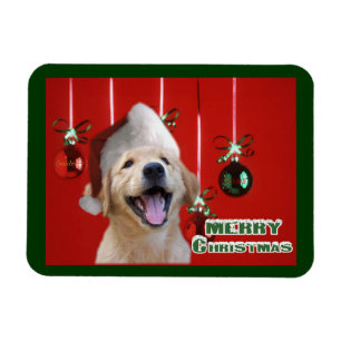 Kerstkaarten met Gouden Retriever Geschenken Magneet