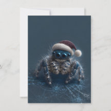Kerstkaarten met springspin 'Donkere variëteit'