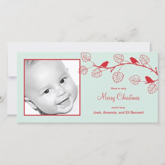 Kerstkaarten met Vakantie Vogels Feestdagenkaart (Voorkant)