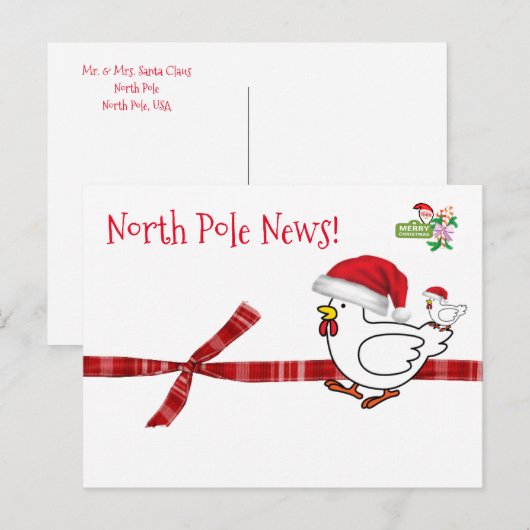 Kerstkaarten Noordpool Kip Briefkaart (Voorkant / Achterkant)