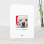 Kerstkaarten voor bulldog feestdagen kaart (Achterkant)