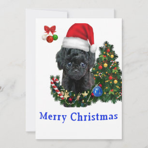 Kerstkaarten voor Poodles Kaart