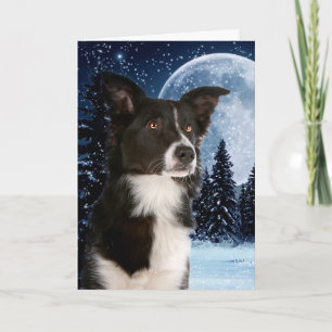 Kerstkaarten voor randCollie Feestdagen Kaart