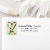 Kerstkaartenlabel stickers (Insitu)