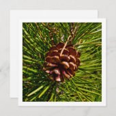 Kerstkaartenscherm Pine Cone-foto Feestdagenkaart (Voorkant / Achterkant)