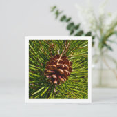 Kerstkaartenscherm Pine Cone-foto Feestdagenkaart (Staand voorkant)