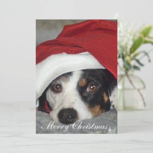 Kerstkaartje afbeelding hond. kaart (Staand voorkant)