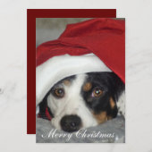 Kerstkaartje afbeelding hond. kaart (Voorkant / Achterkant)