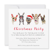 kerstkaartje voor honden