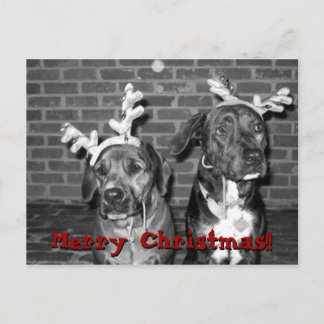 Kerstkaartregistratie recontrast, Vrolijk Kerstfee Feestdagenkaart