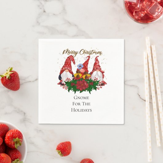 Kerstkabouter voor de feestdagen trendy servet (Insitu)