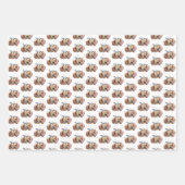 Kerstkameel Inpakpapier Vel (Voorkant 2)