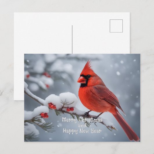 kerstkardinaal briefkaart (Voorkant / Achterkant)