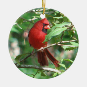 kerstkardinaal keramisch ornament