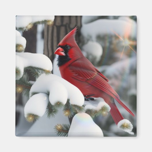 kerstkardinaal magneet (Voorkant)