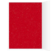 Kerstkardinaal met Pet van de Stand (Binnen (Links))